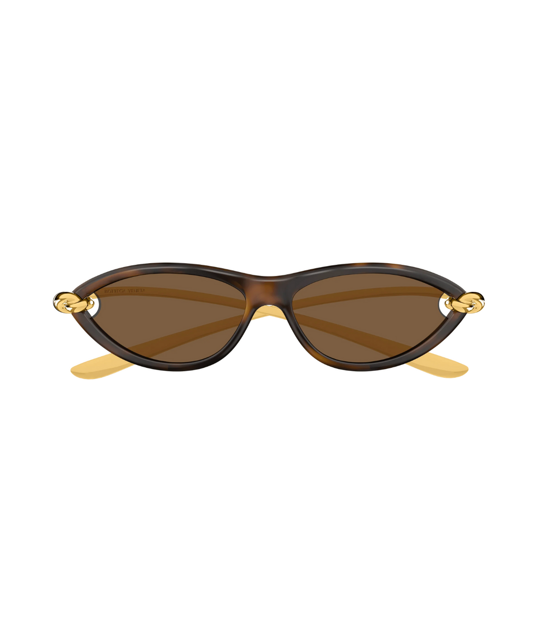 Gold Havana-Brown
