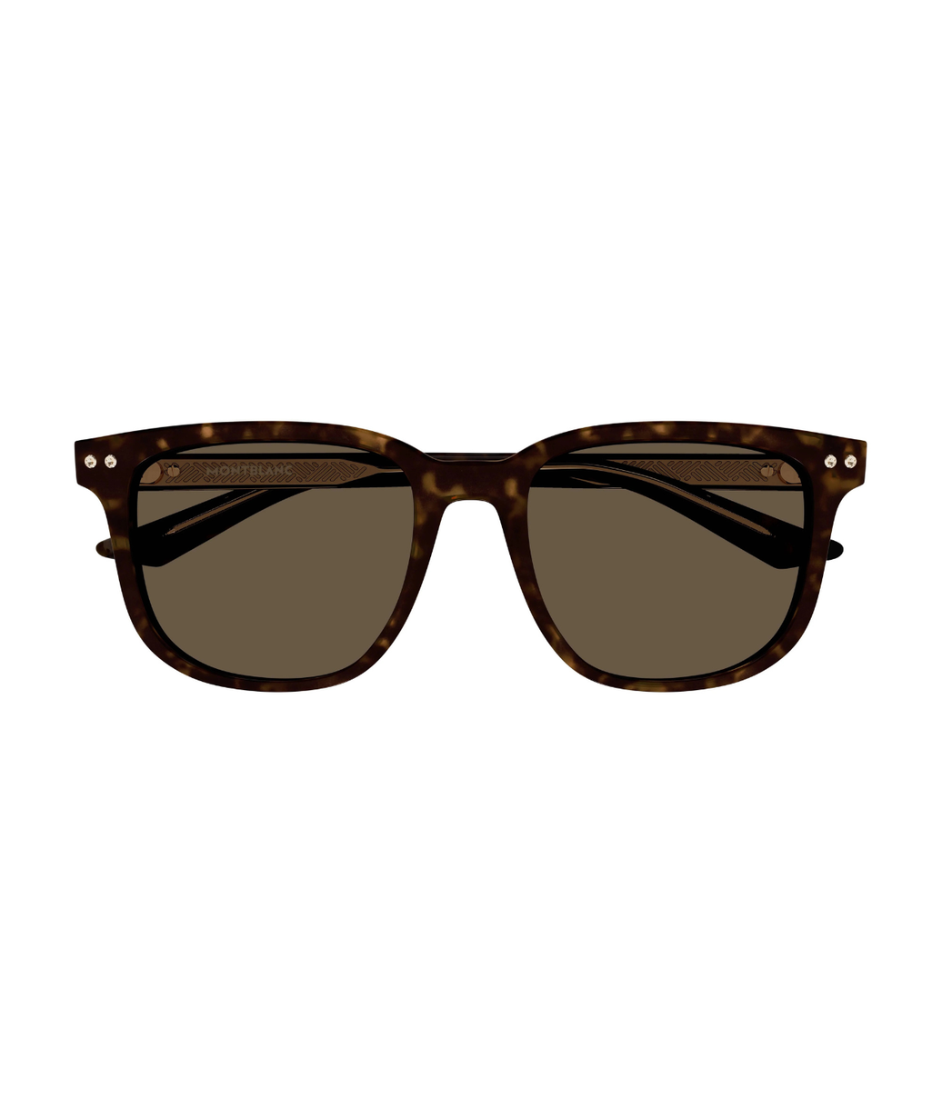 Havana-Brown