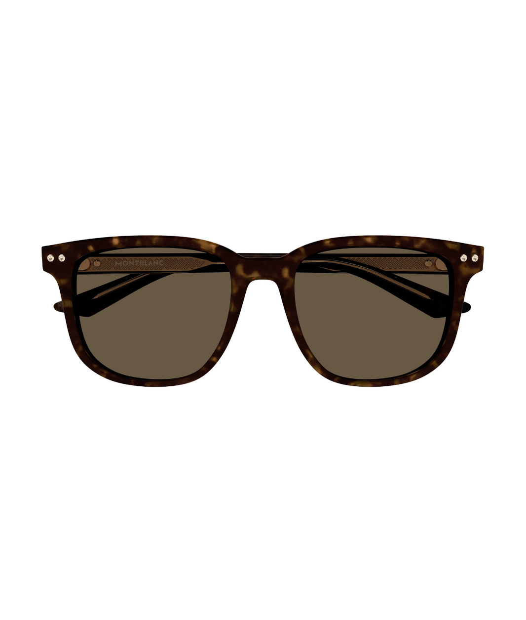 Havana-Brown