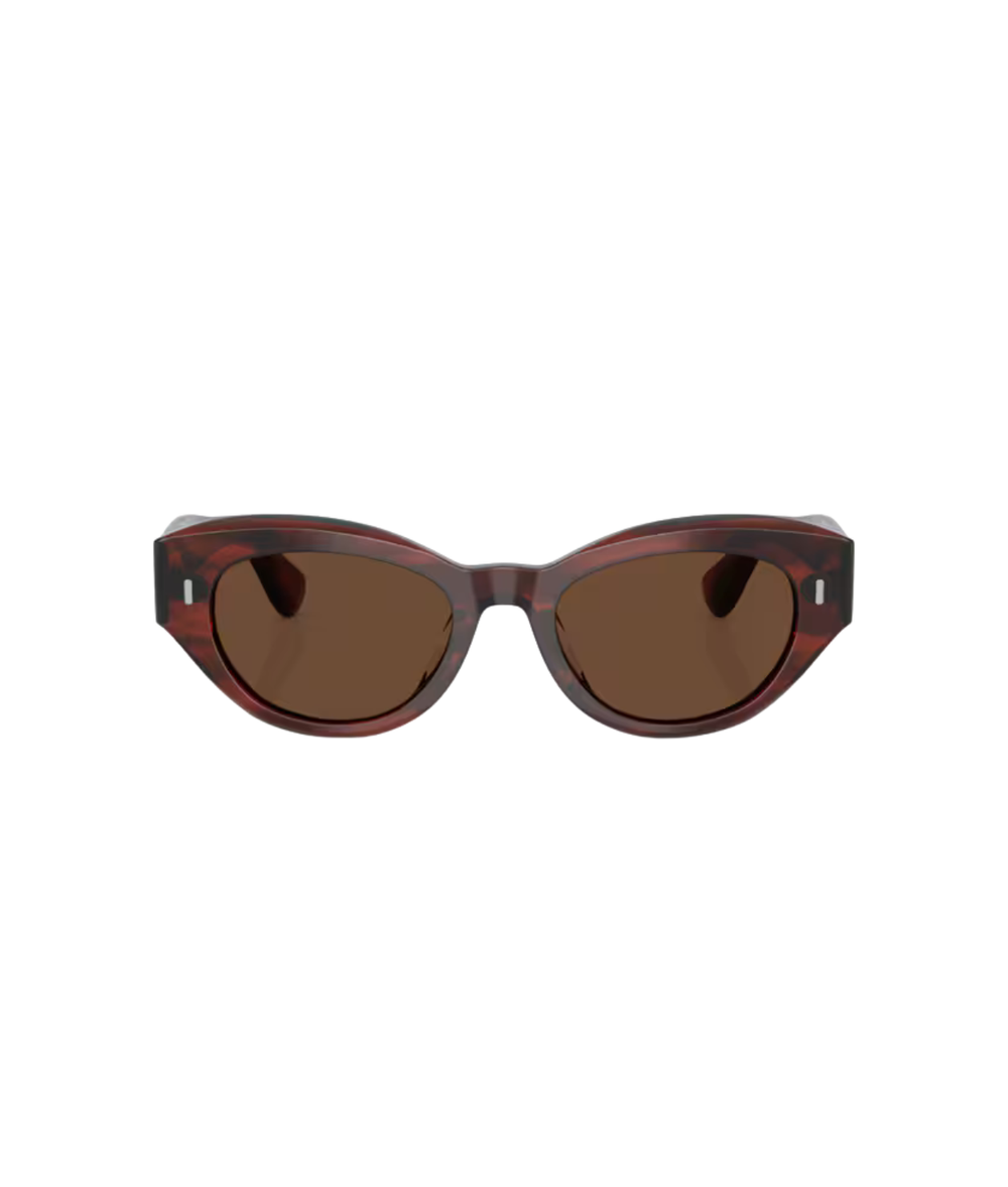 Morado tortoise-Terra polarized