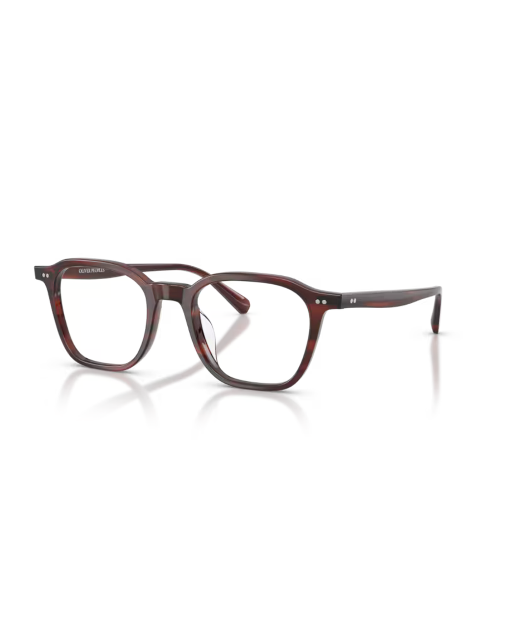 image Morado tortoise