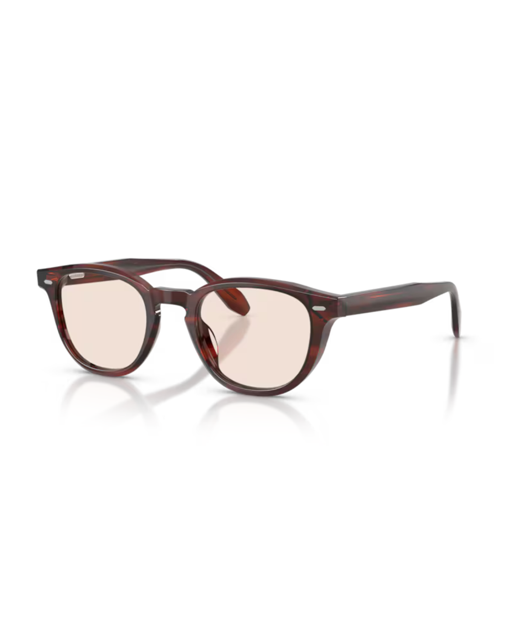 image Morado tortoise