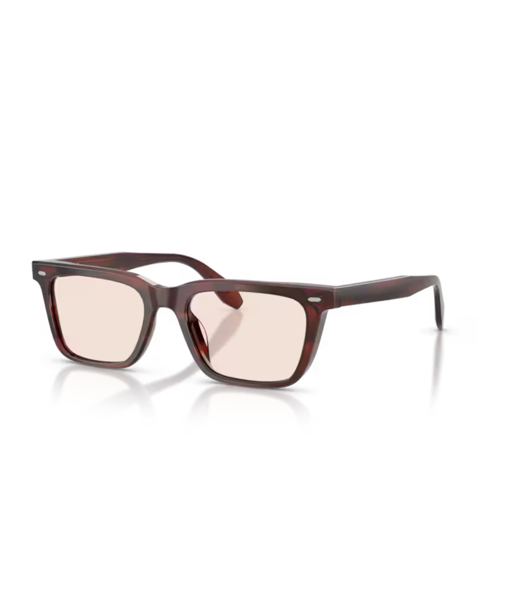 image Morado tortoise