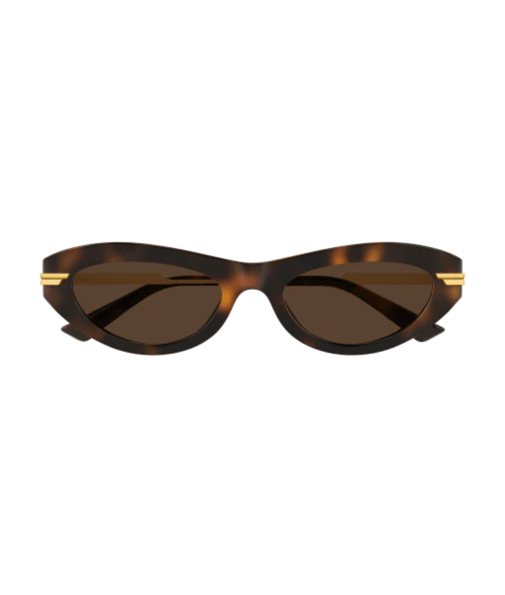 Havana Gold-Brown