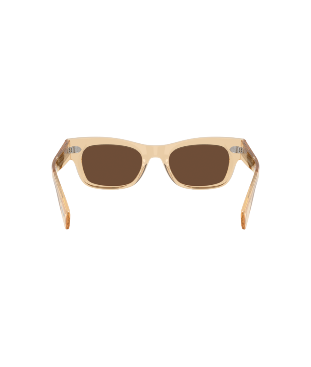 Champagne-Terra polarized