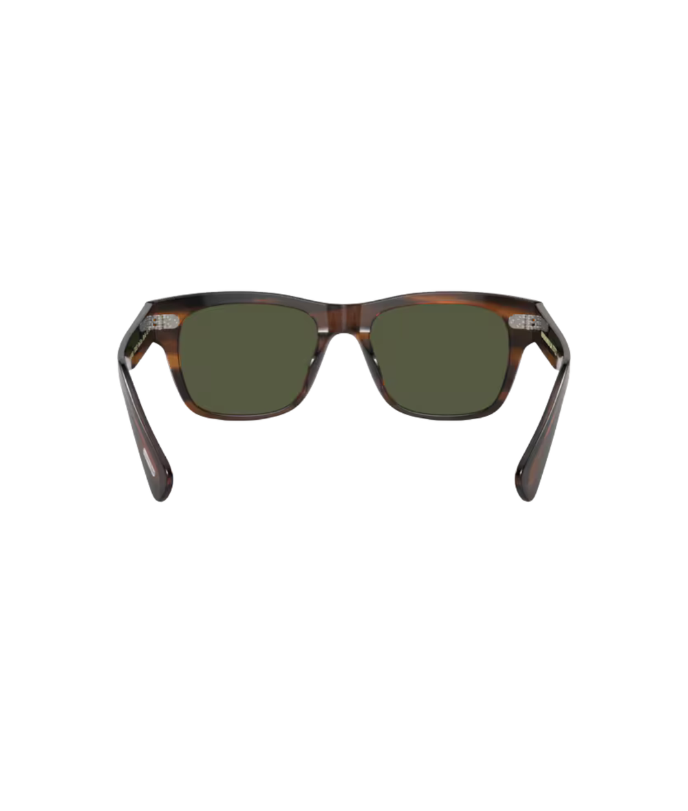 Tuscany tortoise-G-15