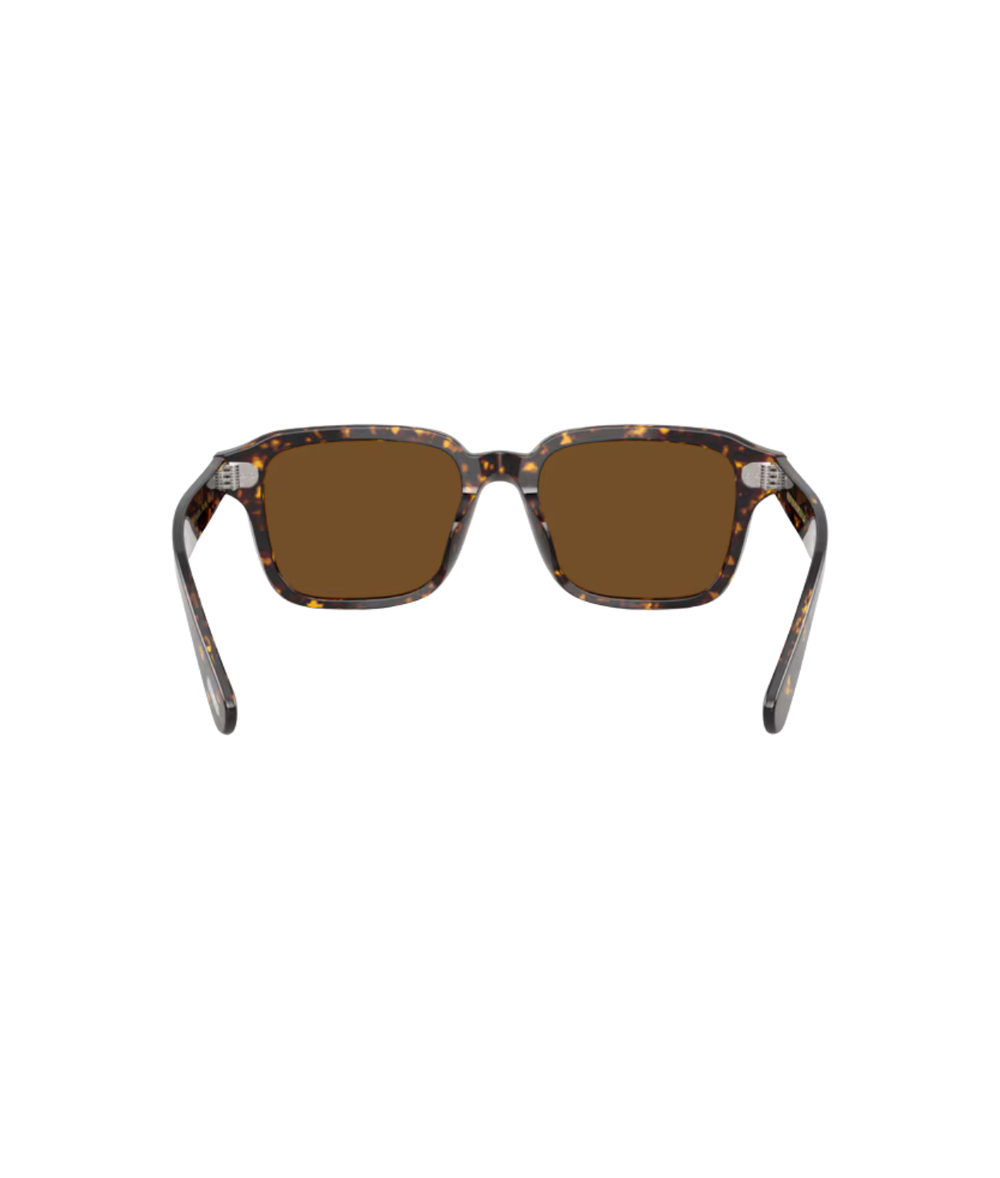 Atago tortoise-True brown polarized