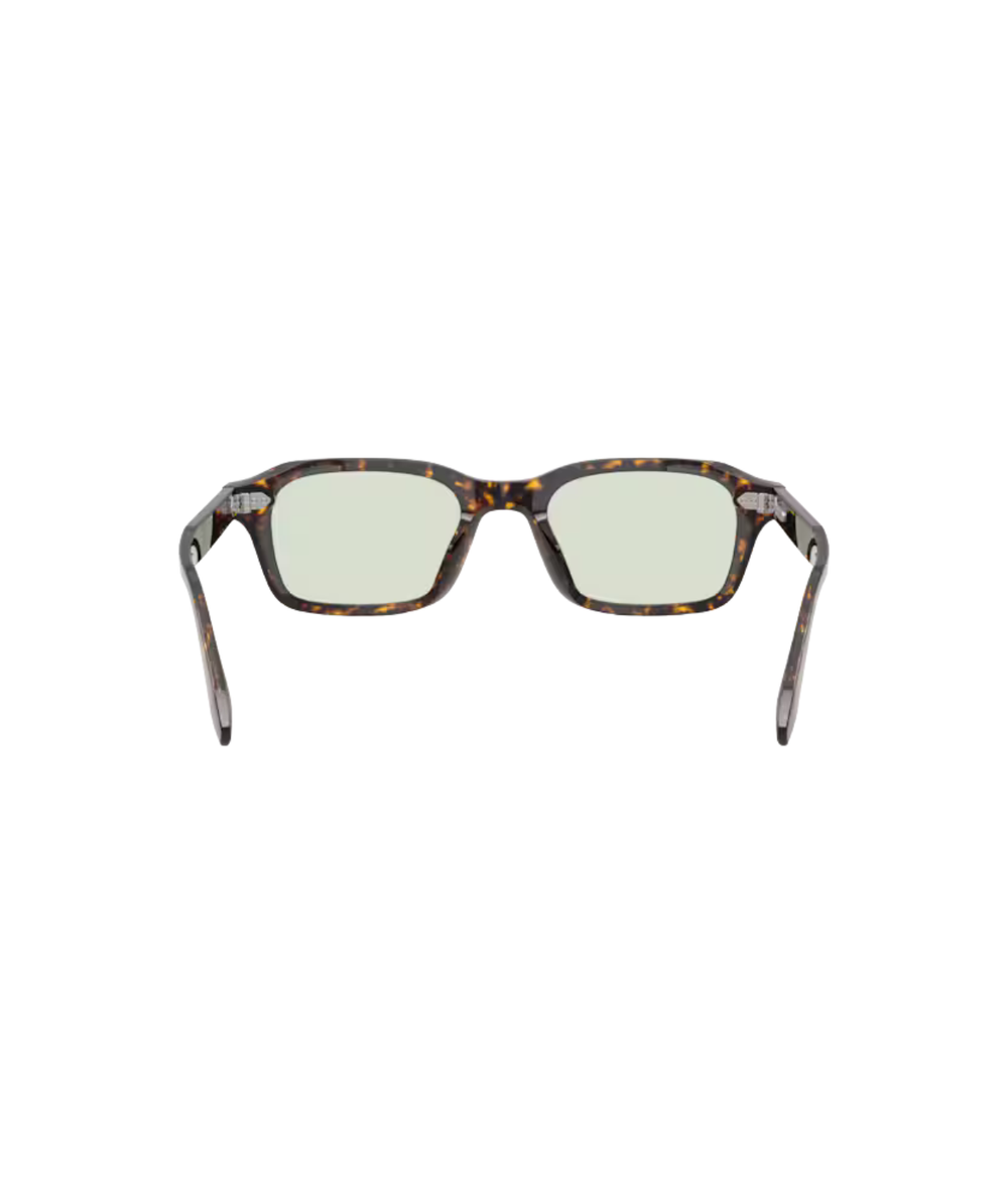 Atago tortoise-Fern wash to dark