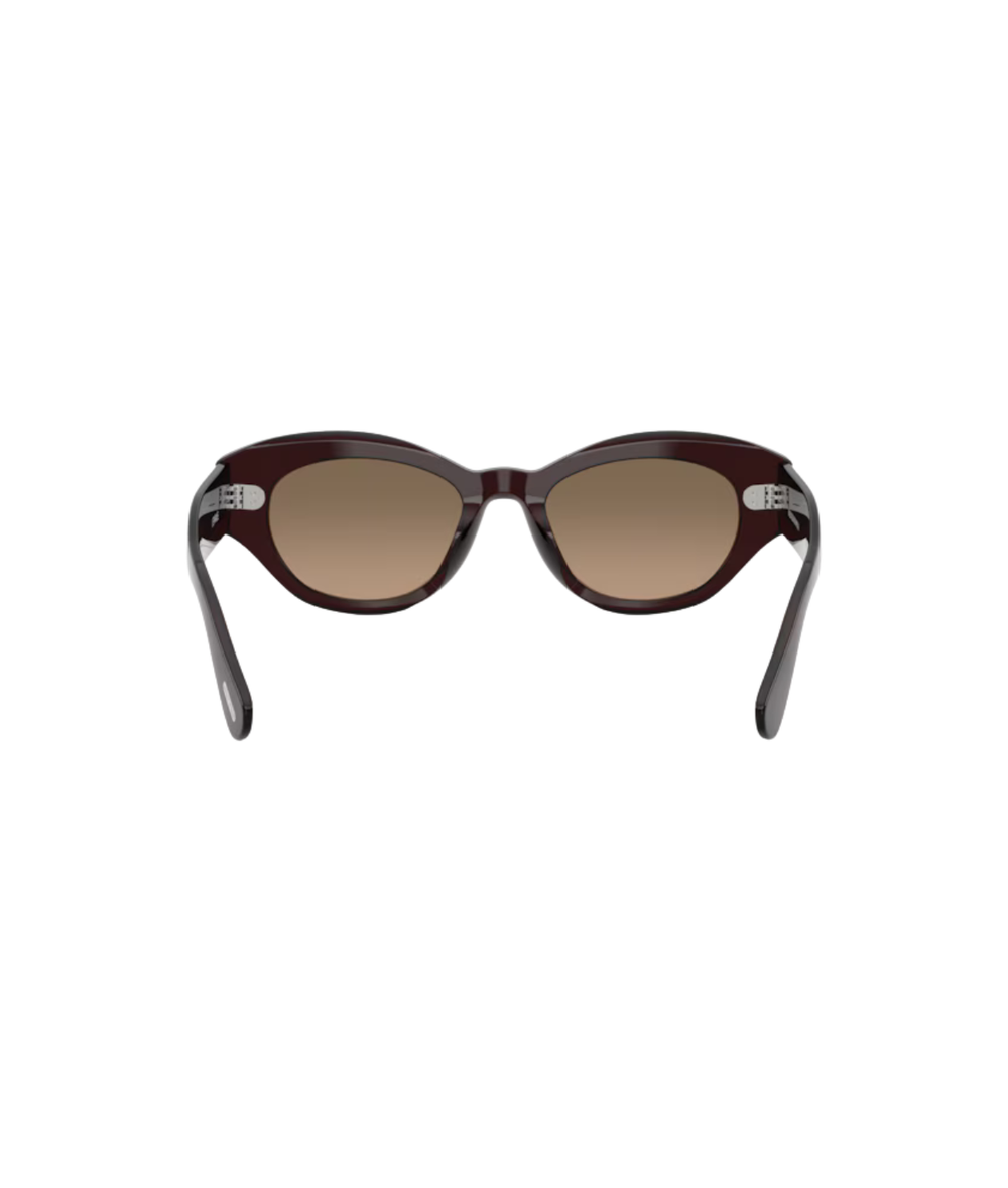 Dark sienna-Sandstone gradient polarized