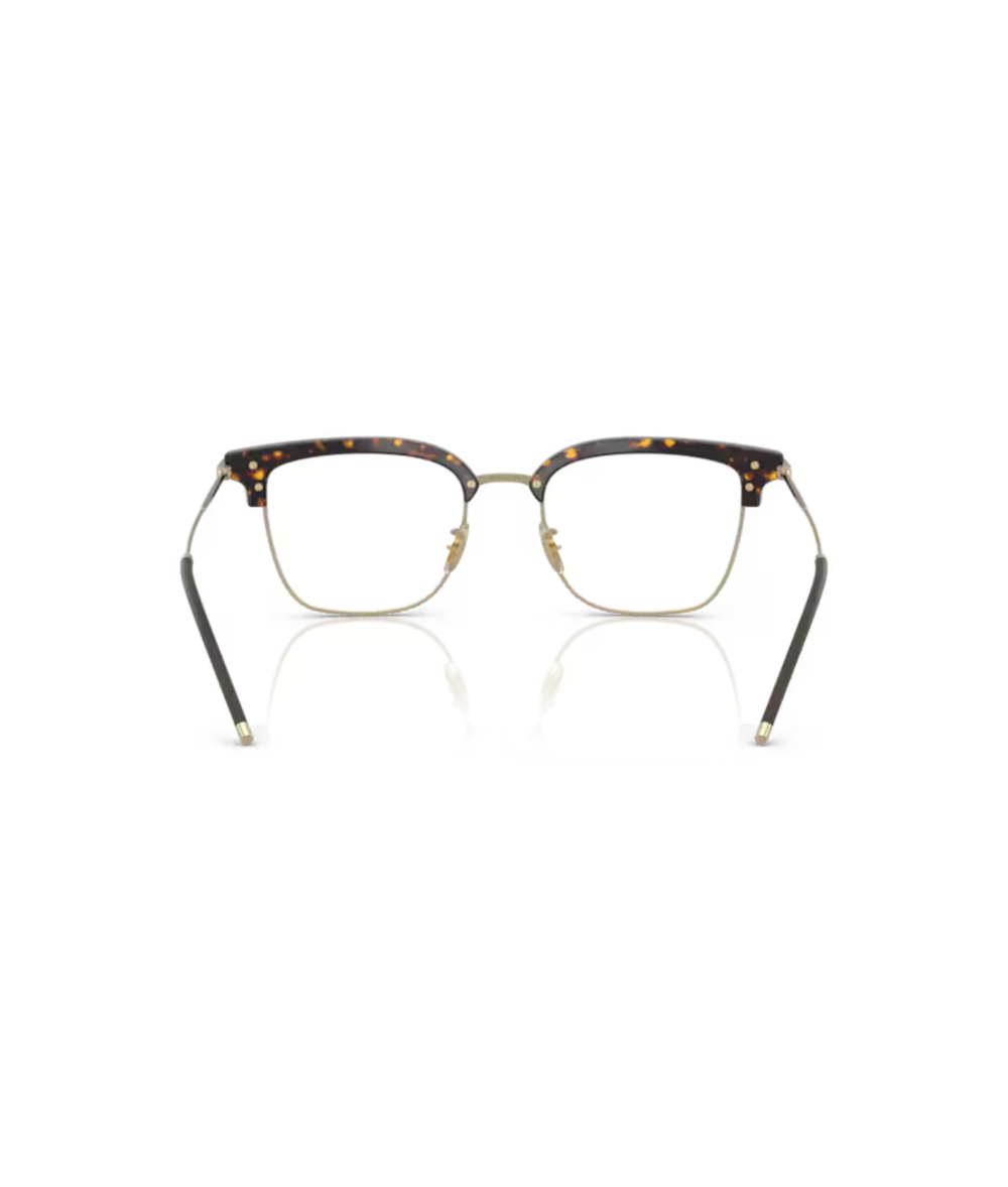 Atago tortoise/gold