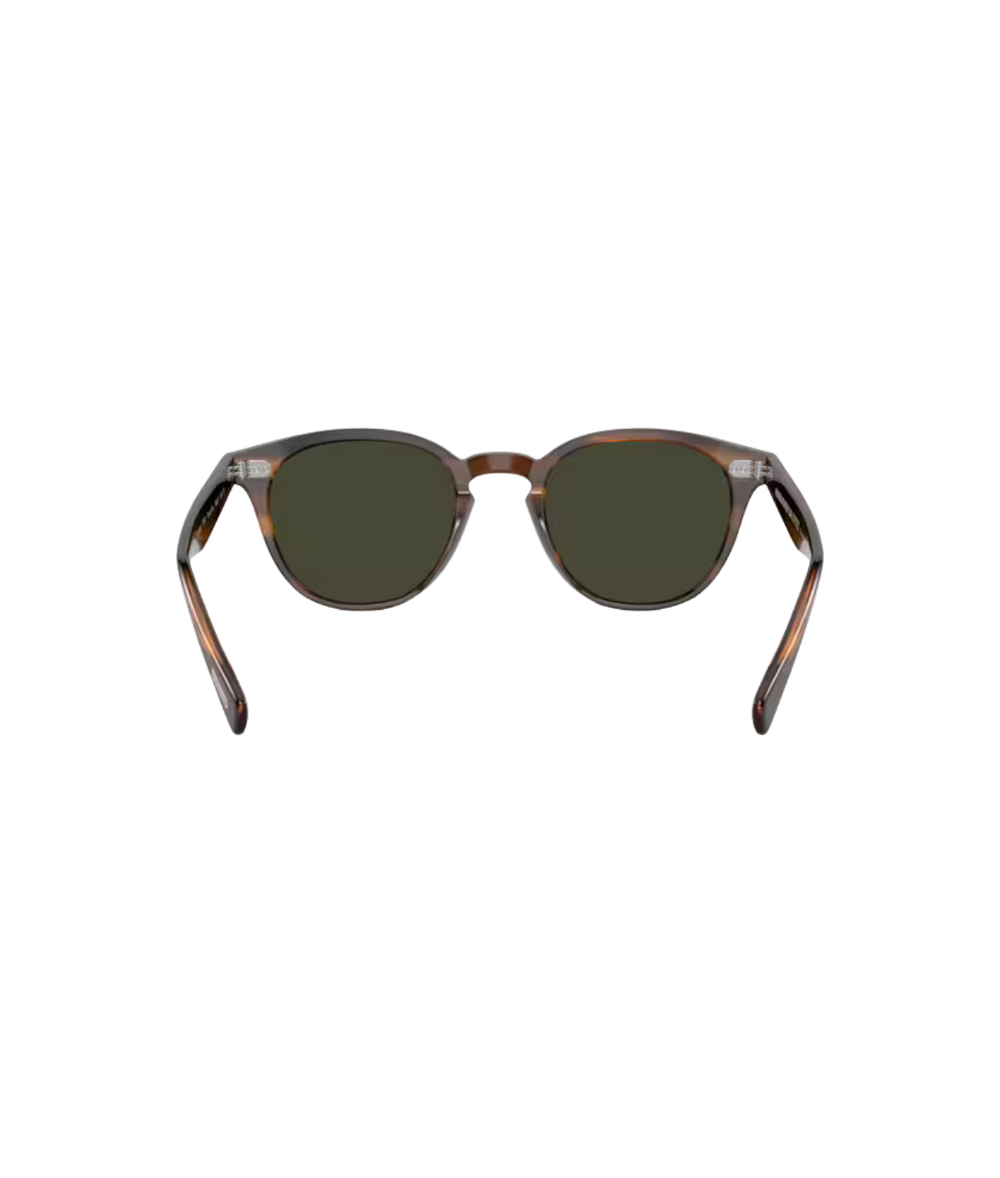 Tuscany tortoise-G-15 polarized