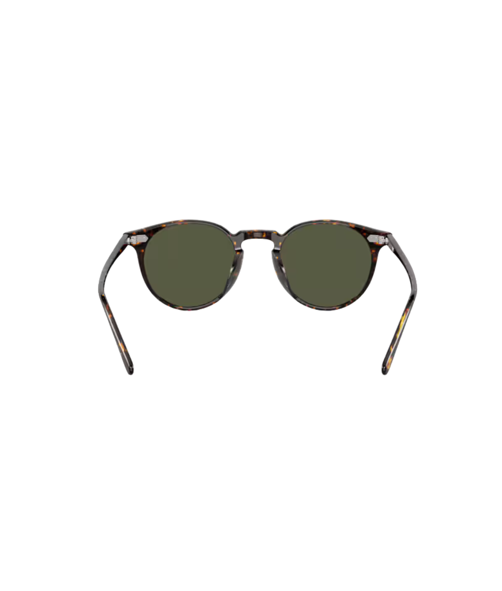 Atago tortoise-G-15