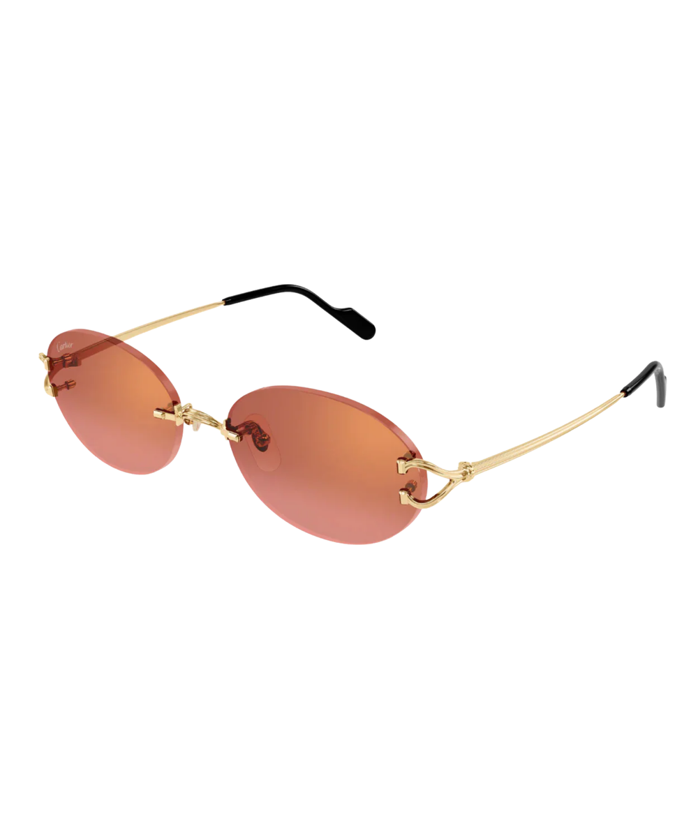 Cartier CT0330S Rectangle Sunglasses