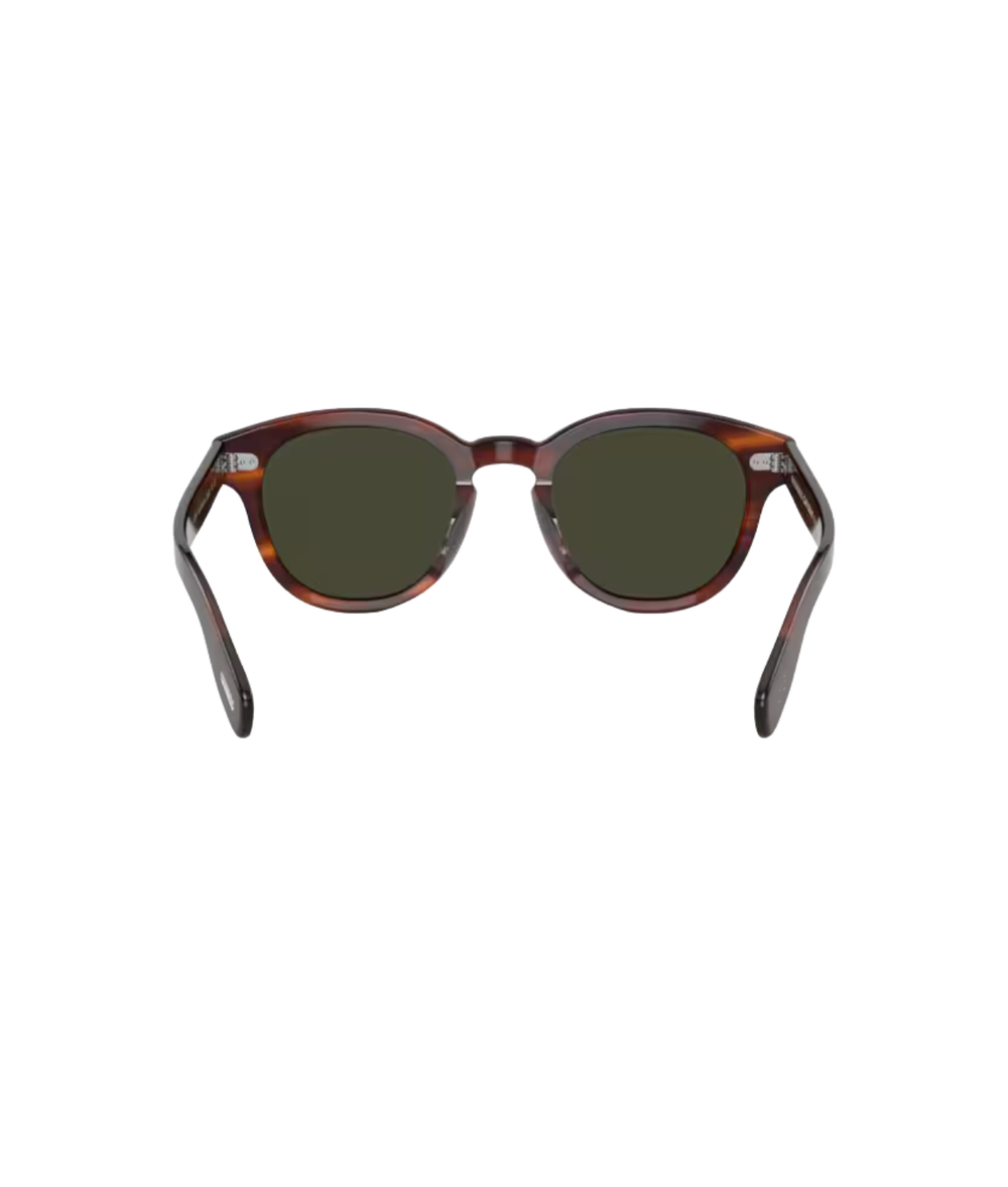 Grant tortoise-G-15 polarized
