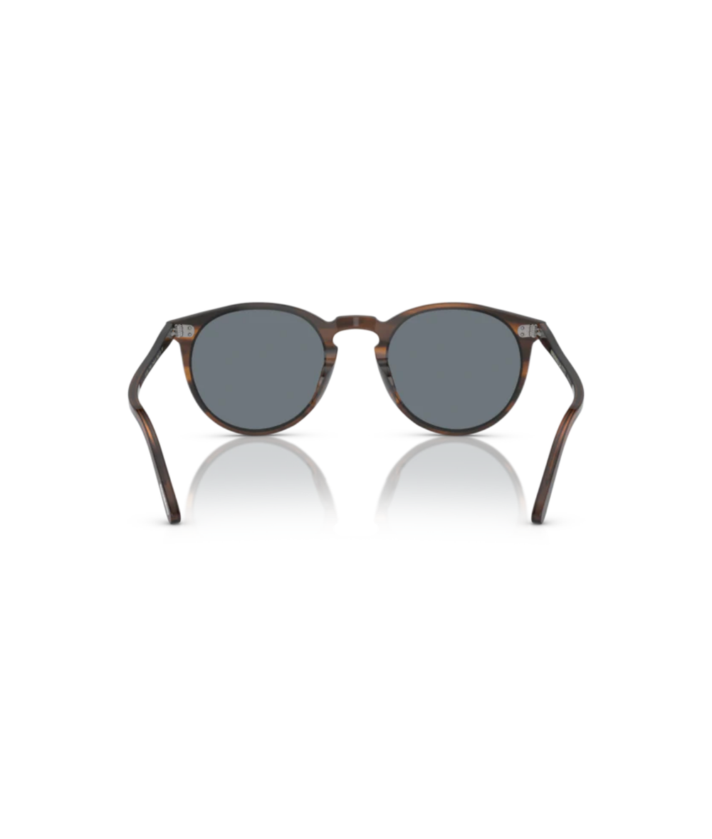 Tuscany Tortoise-Indigo