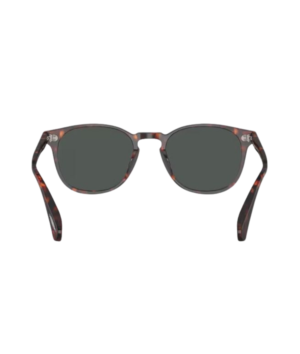 Semi matte sable tortoise-G-15 goldtone