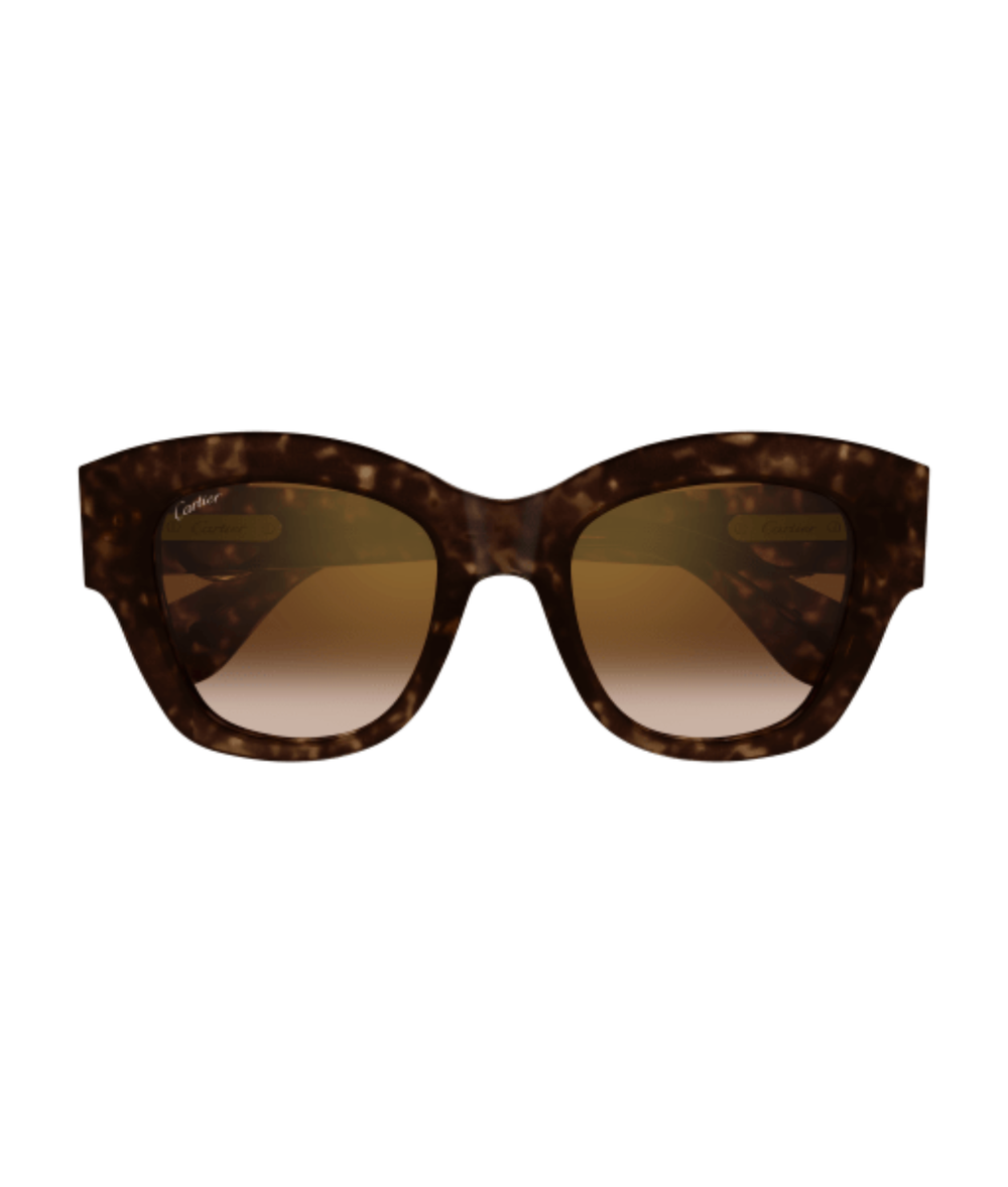 Havana-Brown