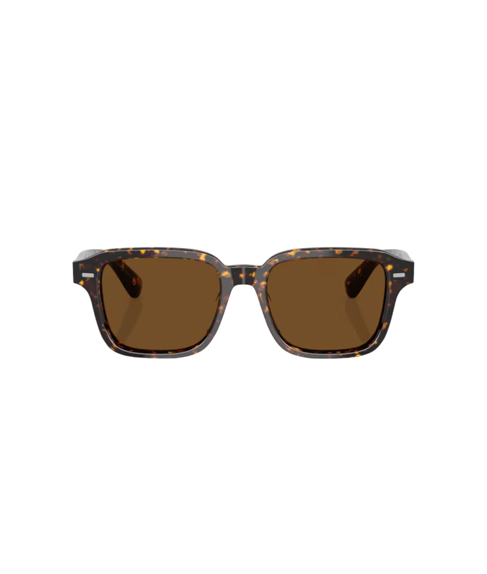 Atago tortoise-True brown polarized