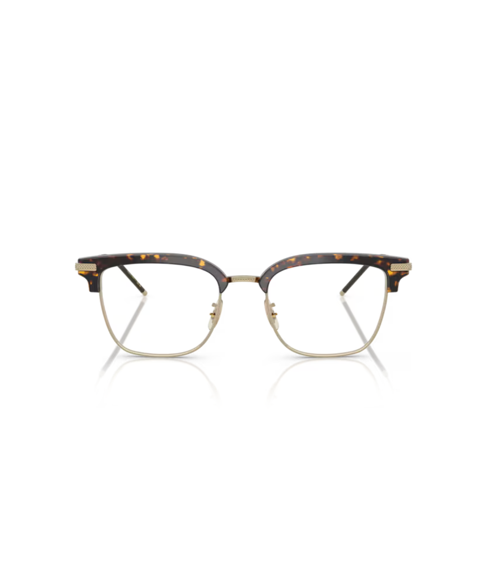Atago tortoise/gold