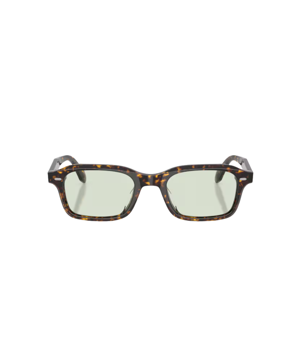 Atago tortoise-Fern wash to dark