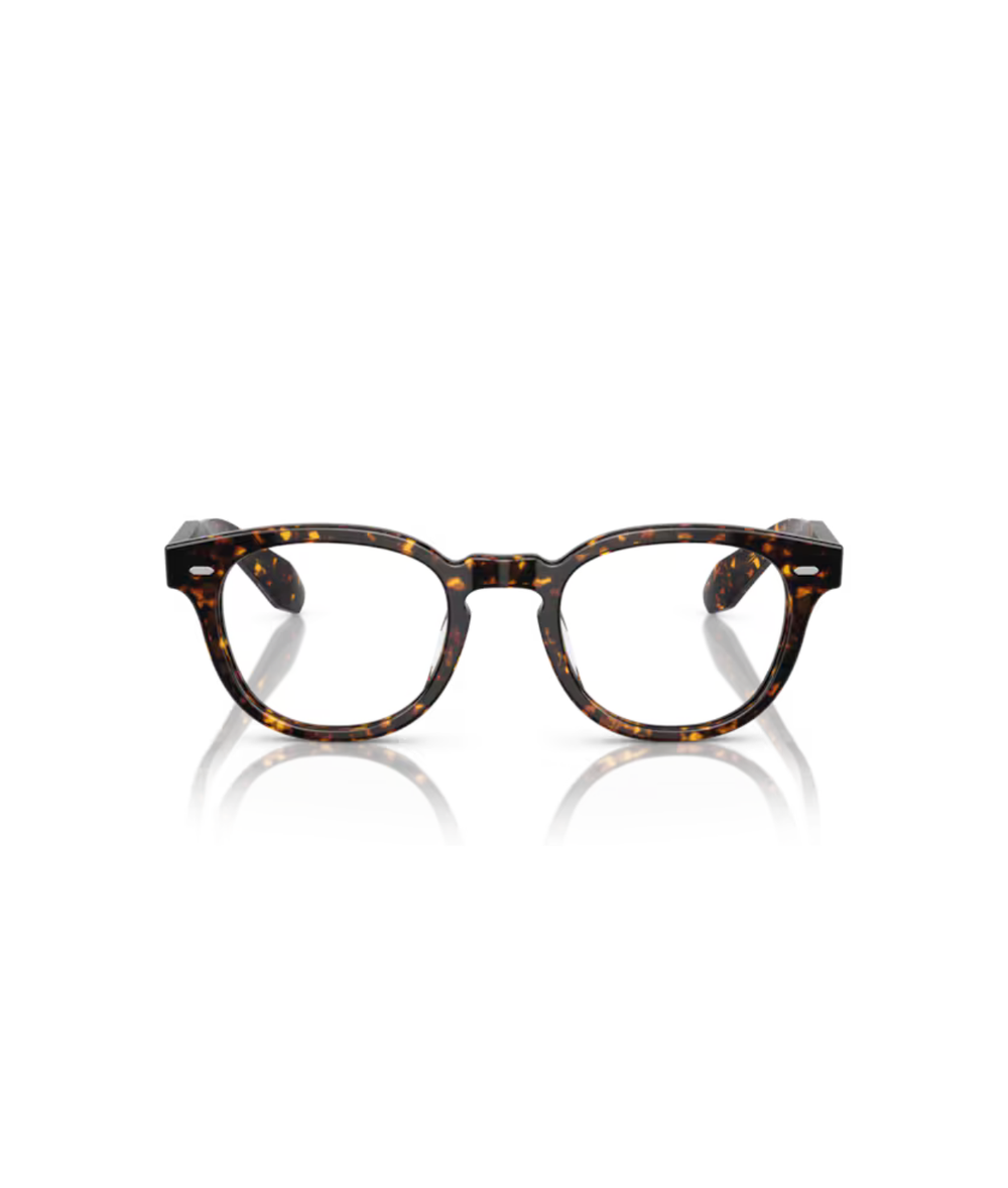 Atago tortoise