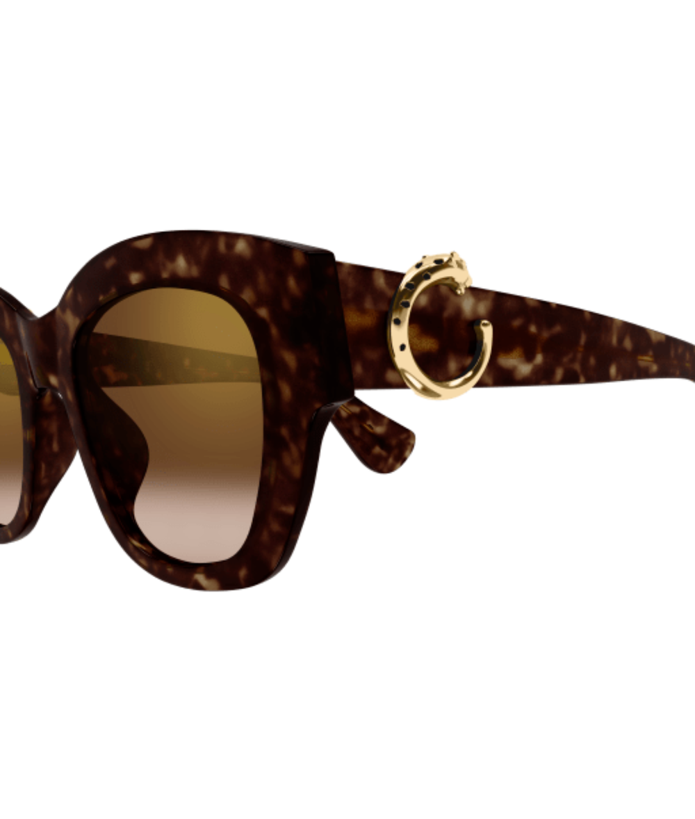 Havana-Brown