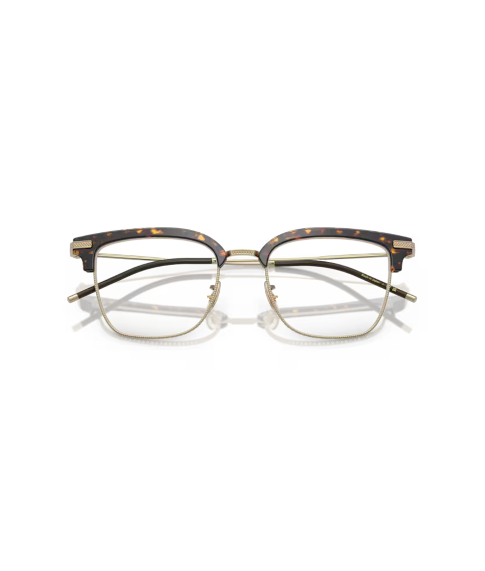 Atago tortoise/gold