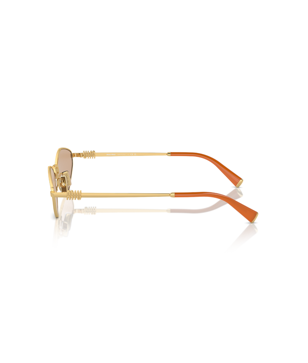 Cartier CT0330S Rectangle Sunglasses