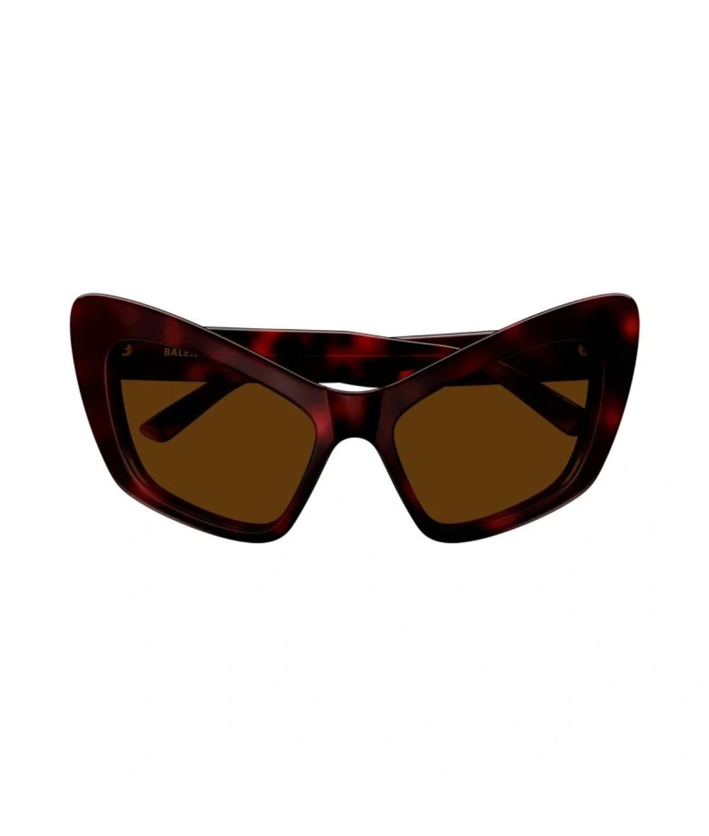 Havana-Brown