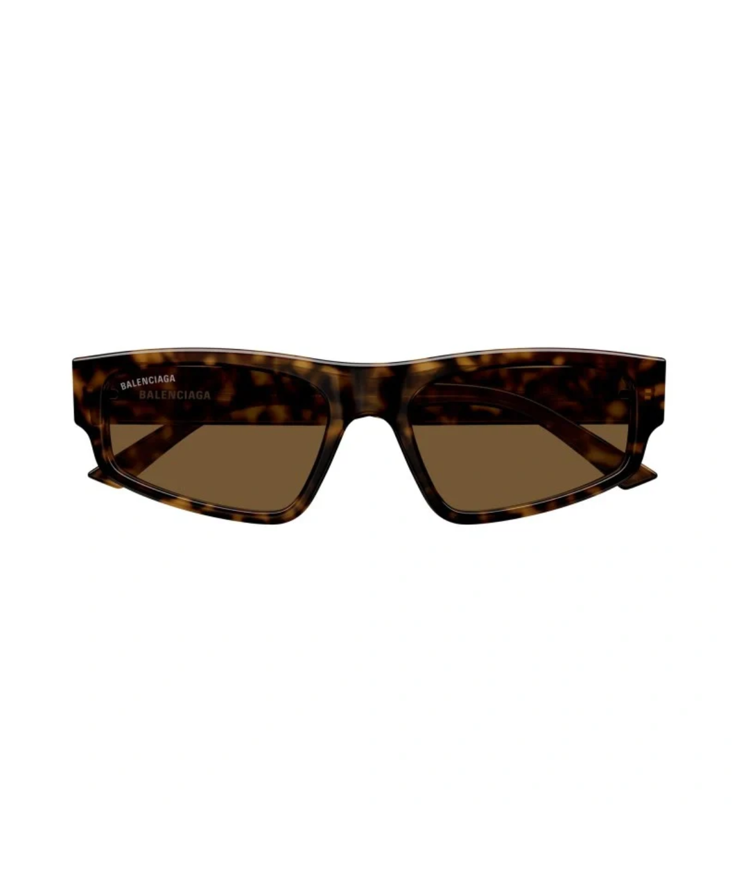Havana-Brown