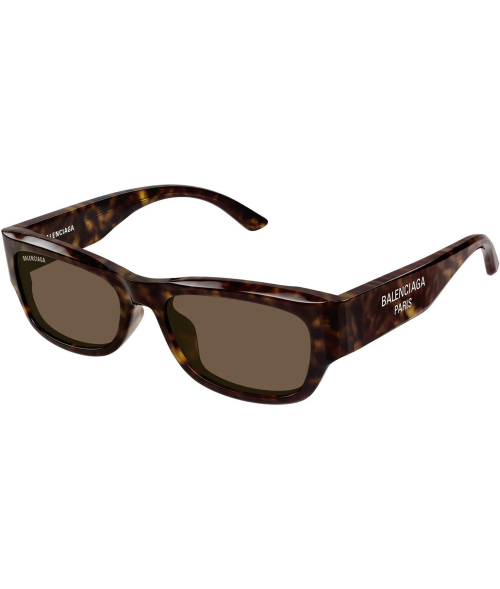 Havana-Brown
