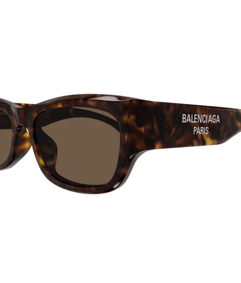 Havana-Brown