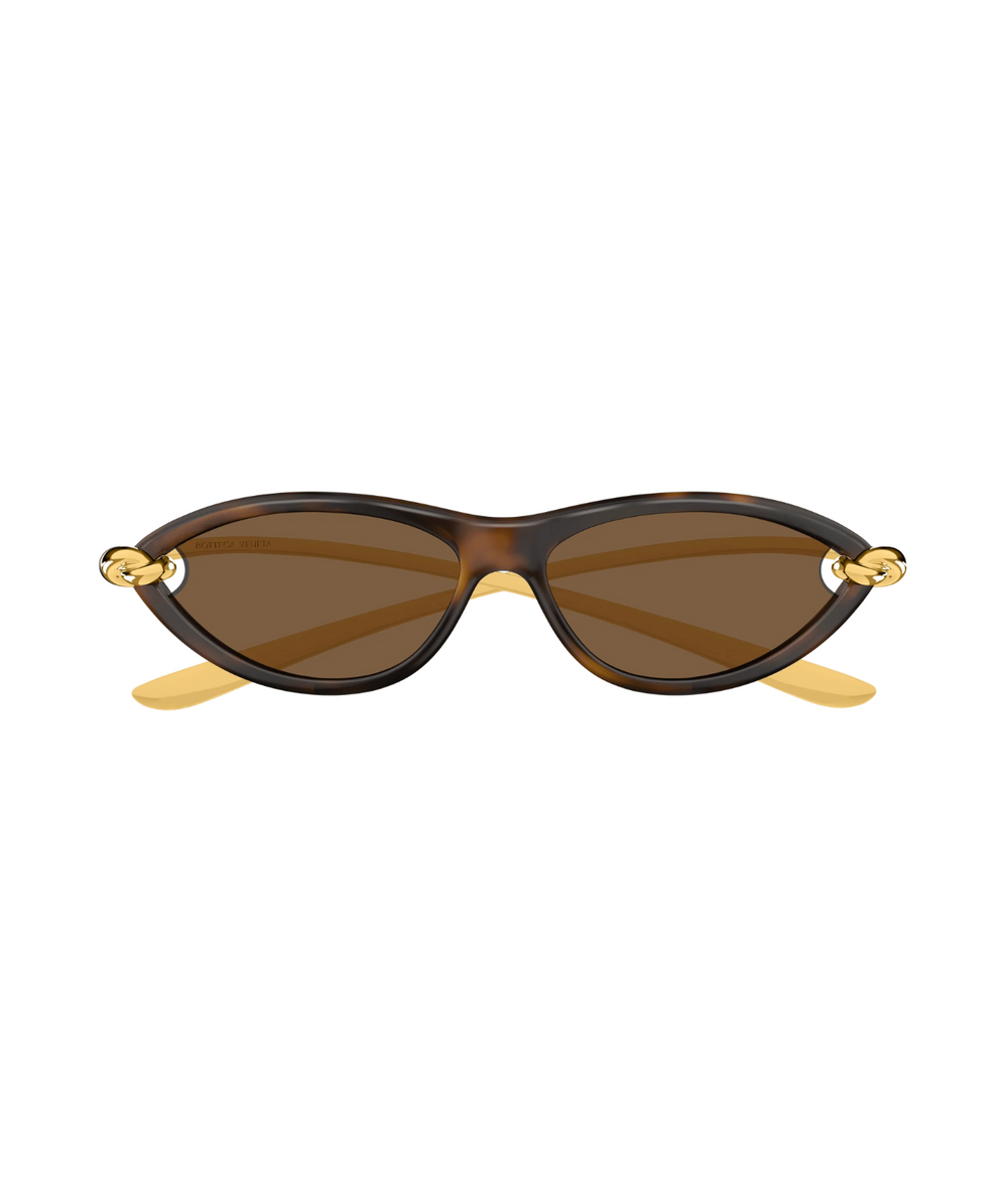 Gold Havana-Brown