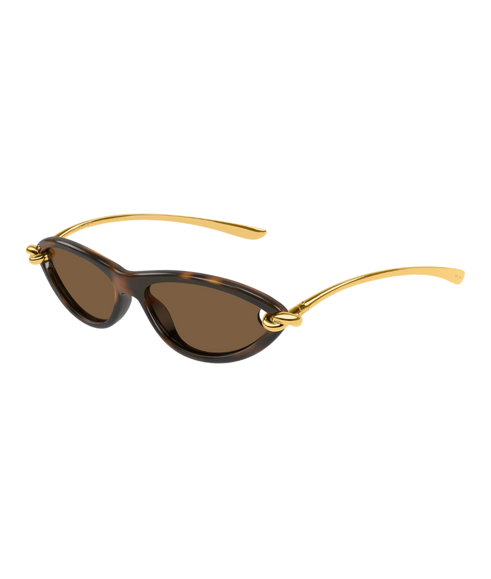 Gold Havana-Brown