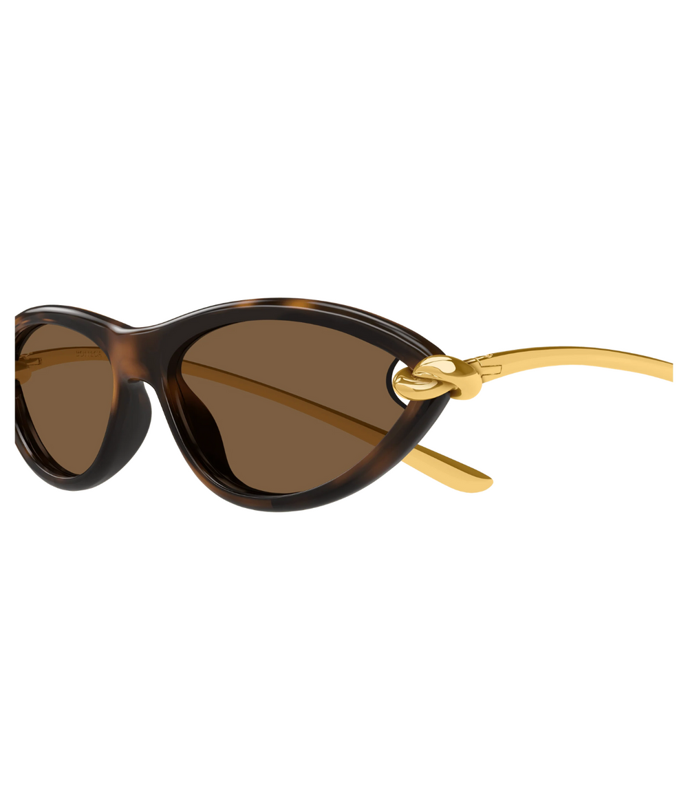 Gold Havana-Brown