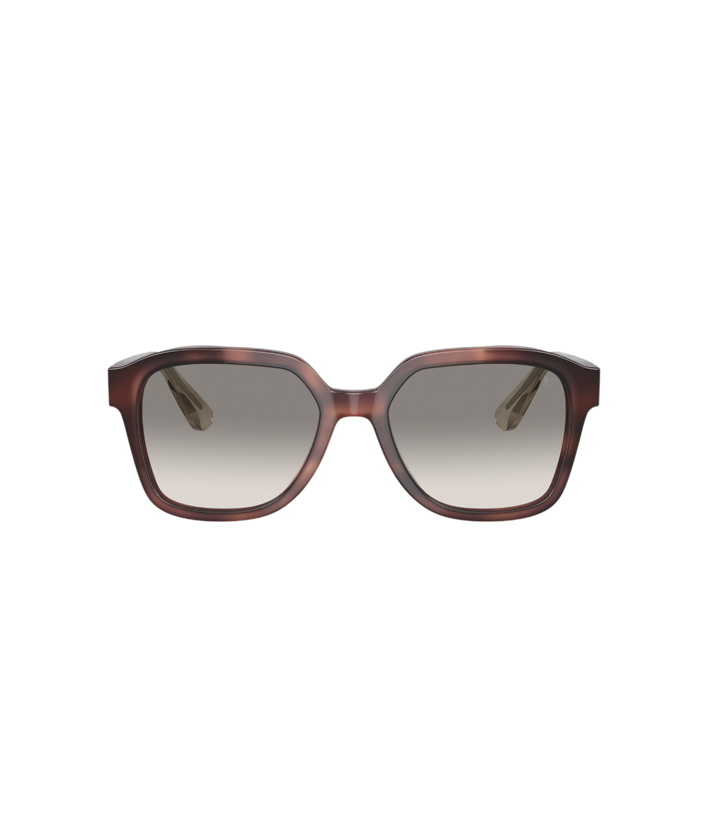 Havana  Ortensia-Fumo