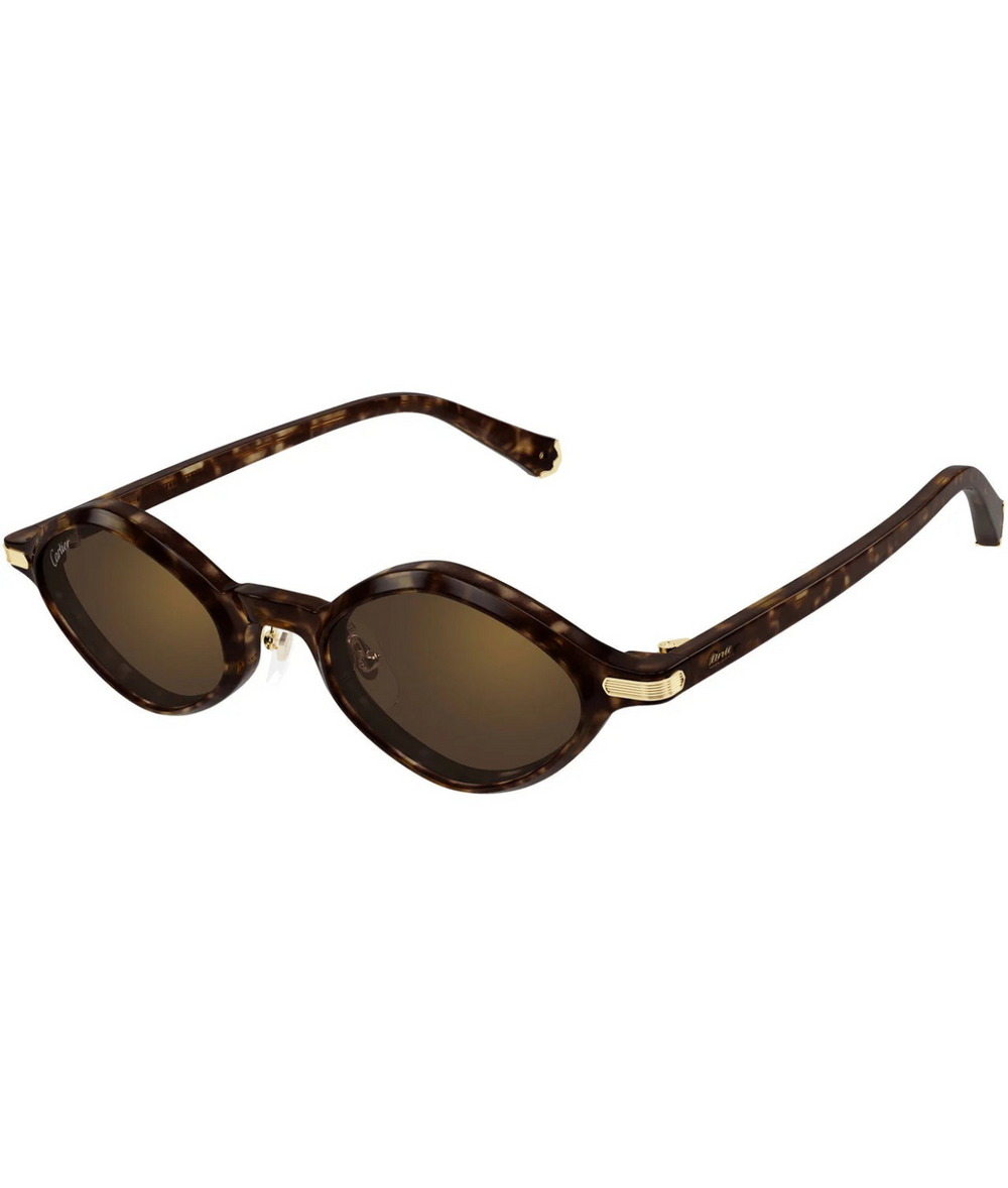 Havana-Brown