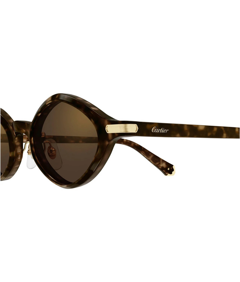 Havana-Brown