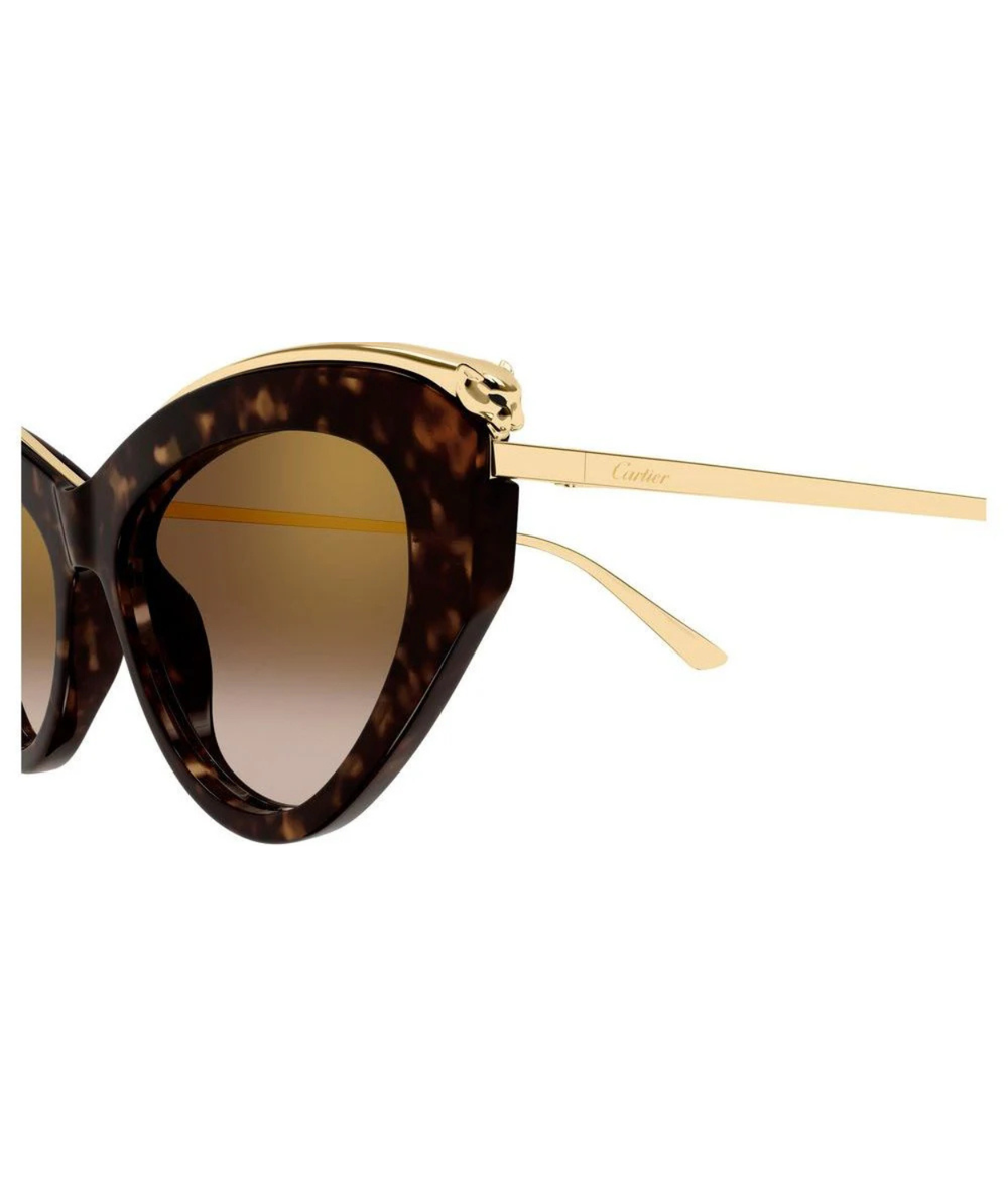 Havana Gold-Brown