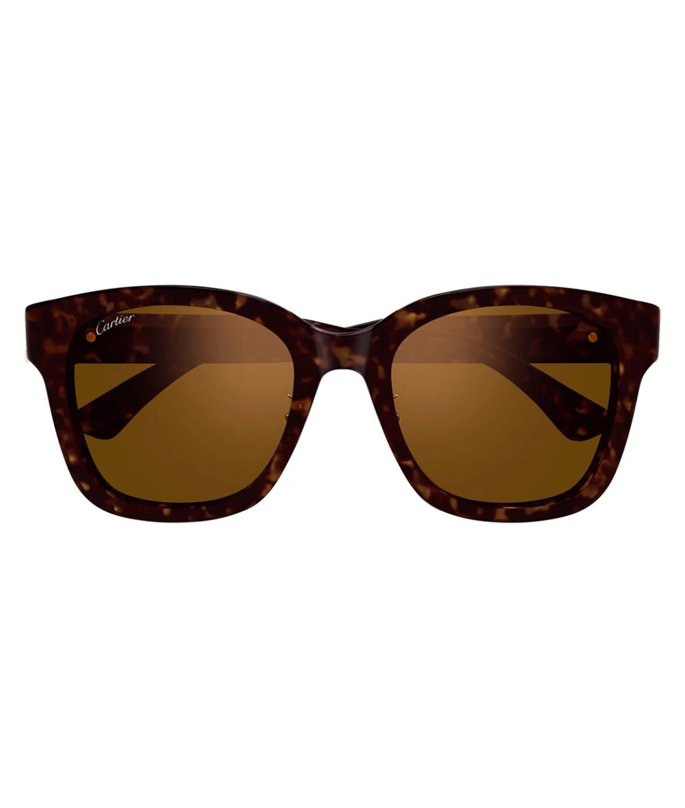 Havana-Brown