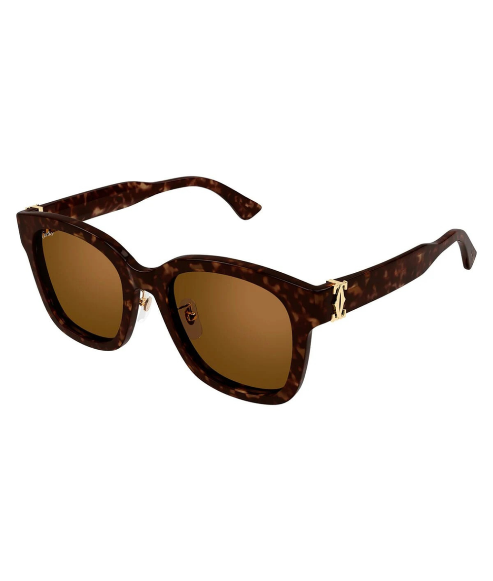 Havana-Brown