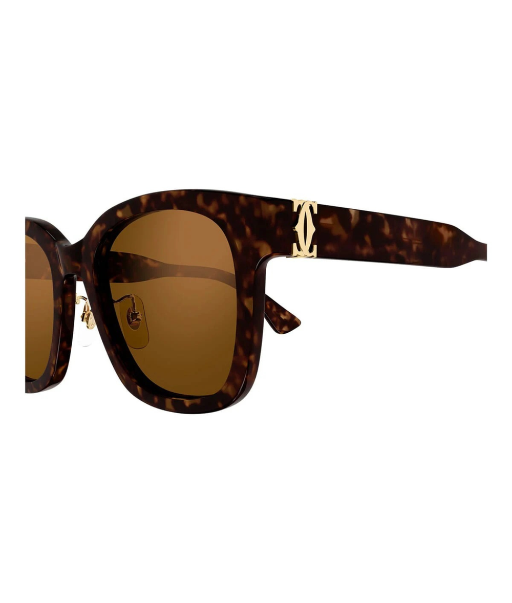 Havana-Brown