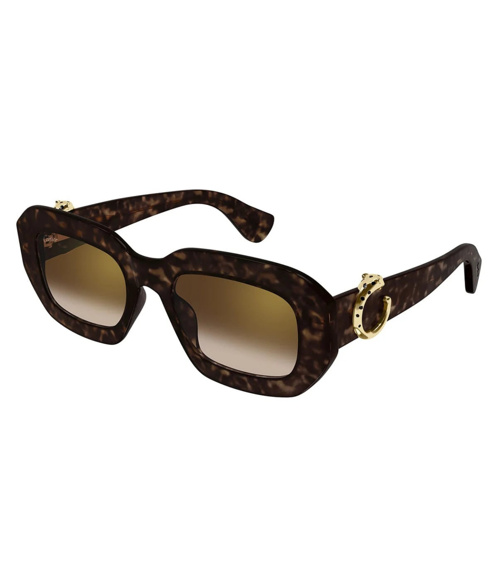 Havana-Brown