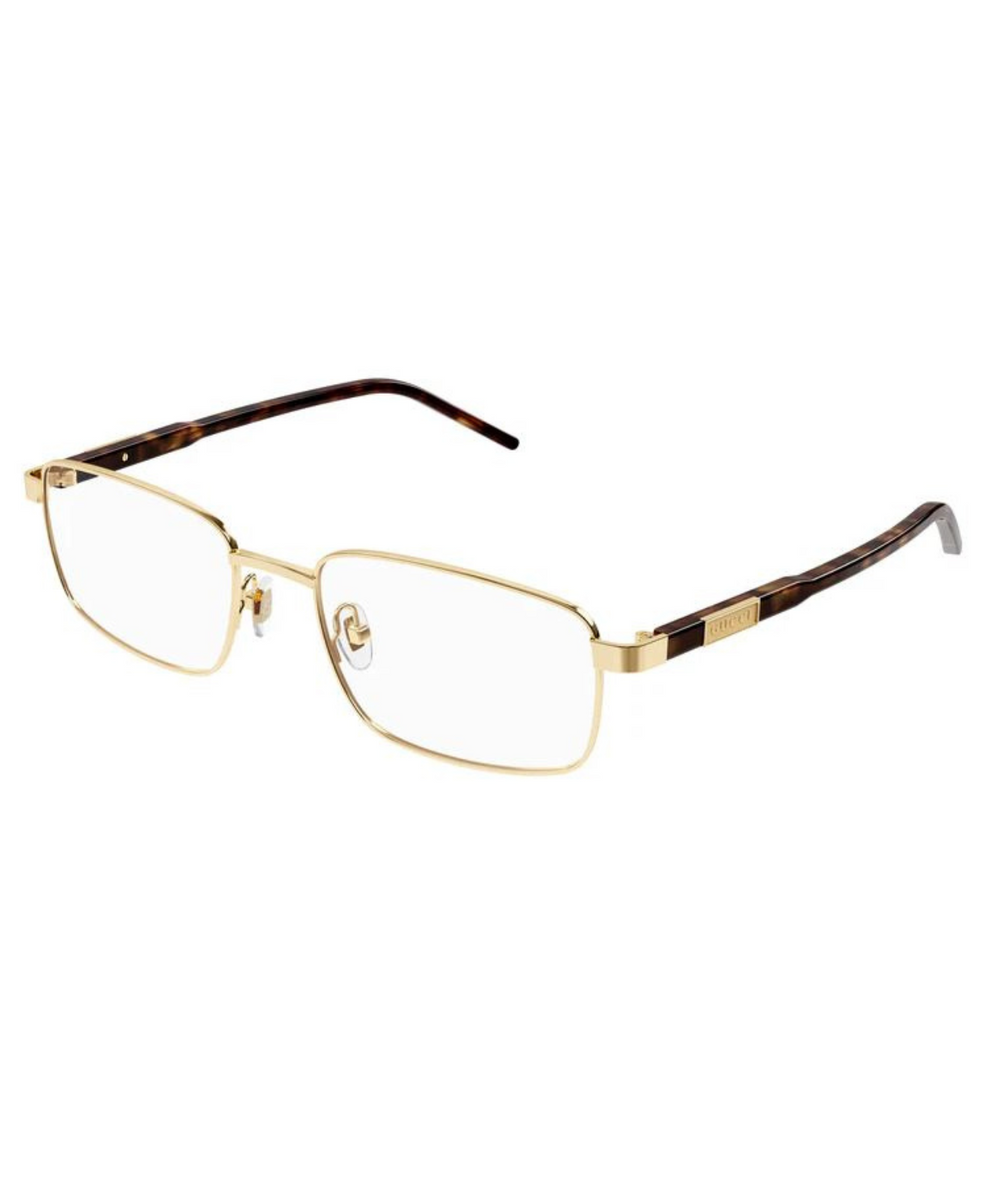 Gold-Dark Havana