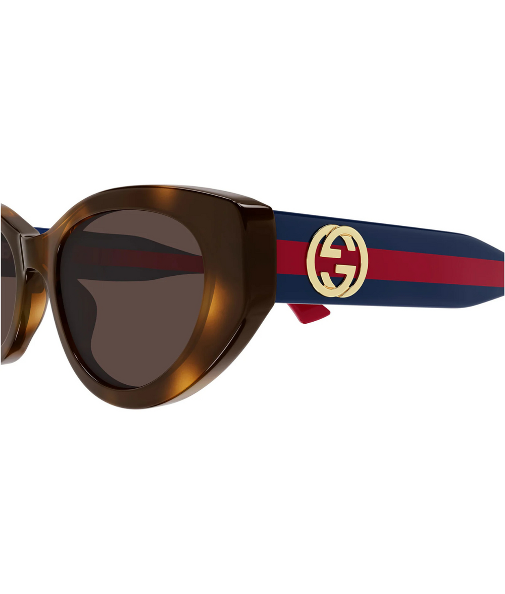 Havana-Blue-Brown