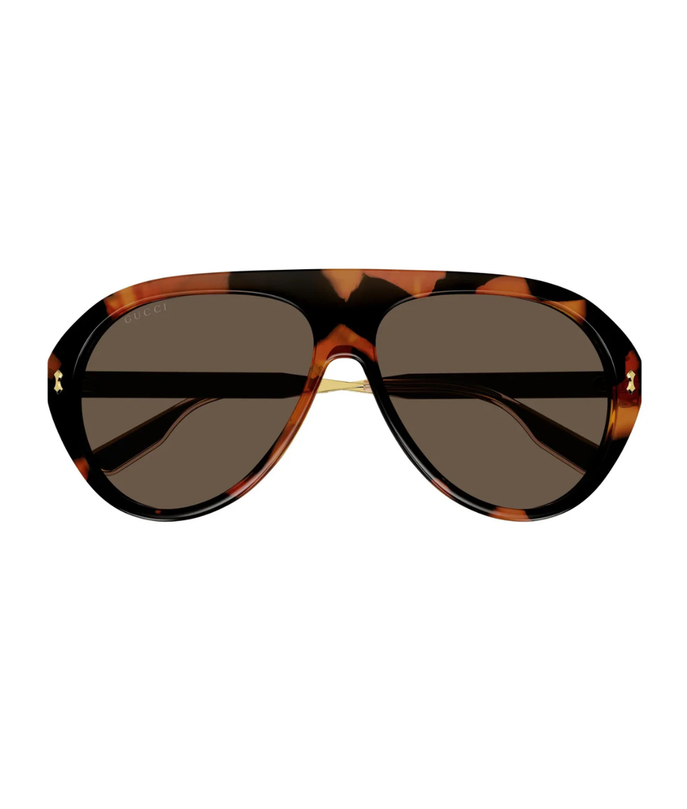 Havana Gold-Brown
