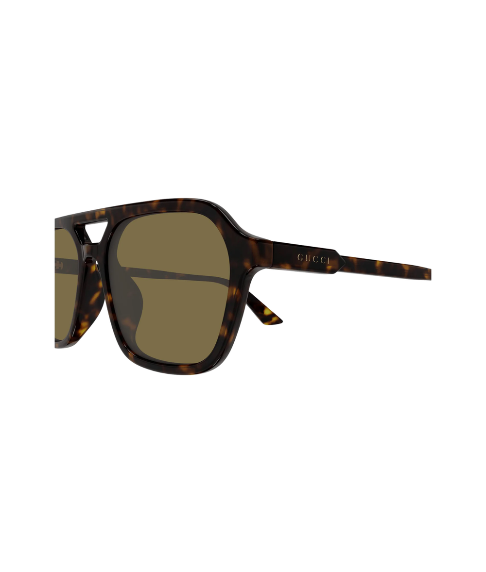 Havana-Brown