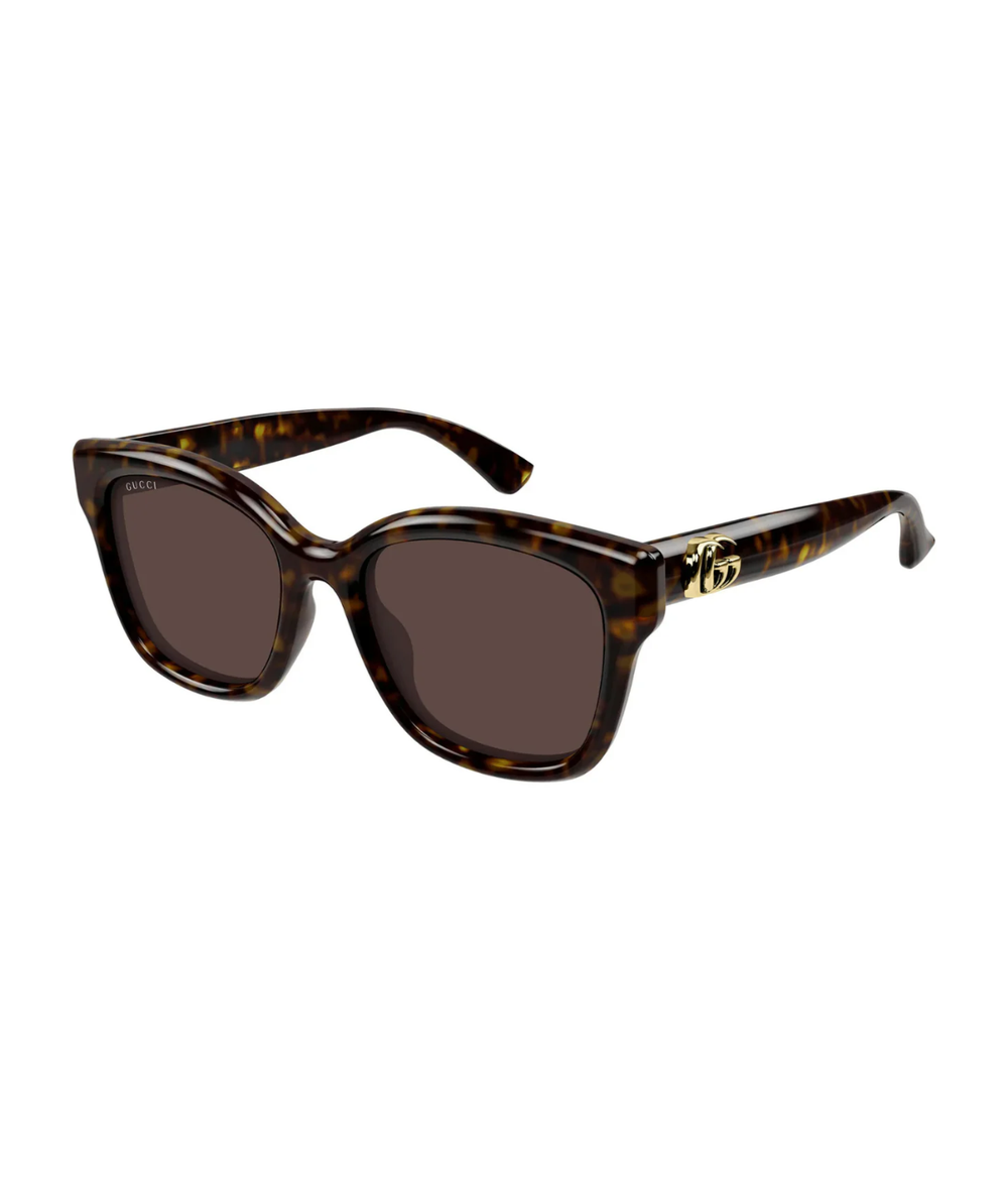 Havana-Brown
