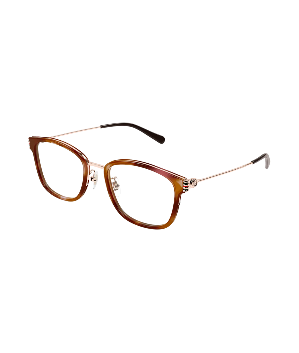 Havana/Gold
