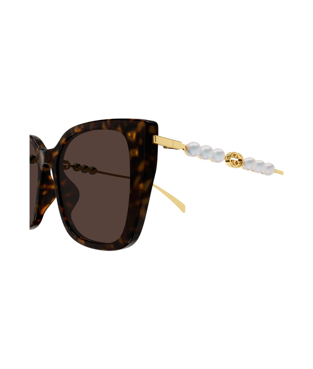 Havana Gold-Brown
